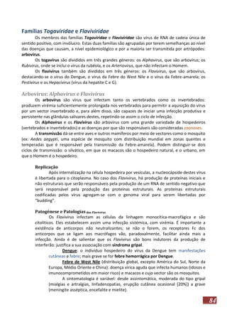 Famílias Togaviridae e Flaviviridae
Os membros das famílias Togaviridae e Flaviviridae são vírus de RNA de cadeia única de
sentido positivo, com invólucro. Estas duas famílias são agrupadas por terem semelhanças ao nível
das doenças que causam, a nível epidemiológico e por a maioria ser transmitida por artrópodes:
arbovírus.
Os togavírus são divididos em três grandes géneros: os Alphavirus, que são arbovírus; os
Rubivirus, onde se inclui o vírus da rubéola, e os Arteriovirus, que não infectam o Homem.
Os flavivírus também são divididos em três géneros: os Flavivirus, que são arbovírus,
destacando-se o vírus do Dengue, o vírus da Febre do West Nile e o vírus da Febre-amarela; os
Pestivirus e os Hepacivirus (vírus da hepatite C e G).

Arbovírus: Alphavirus e Flavivirus
Os arbovírus são vírus que infectam tanto os vertebrados como os invertebrados:
produzem virémia suficientemente prolongada nos vertebrados para permitir a aquisição do vírus
por um vector invertebrado e, para além disso, são capazes de iniciar uma infecção produtiva e
persistente nas glândulas salivares destes, repetindo-se assim o ciclo de infecção.
Os Alphavirus e os Flavivirus são arbovírus com uma grande variedade de hospedeiros
(vertebrados e invertebrados) e as doenças por que são responsáveis são consideradas zoonoses.
A transmissão dá-se entre aves e outros mamíferos por meio de vectores como o mosquito
(ex: Aedes aegypti, uma espécie de mosquito com distribuição mundial em zonas quentes e
temperadas que é responsável pela transmissão da Febre-amarela). Podem distinguir-se dois
ciclos de transmissão: o silvático, em que os macacos são o hospedeiro natural, e o urbano, em
que o Homem é o hospedeiro.
Replicação
Após internalização na célula hospedeira por vesículas, a nucleocápside destes vírus
é libertada para o citoplasma. No caso dos Flavivirus, há produção de proteínas iniciais e
não estruturais que serão responsáveis pela produção de um RNA de sentido negativo que
será responsável pela produção das proteínas estruturais. As proteínas estruturais
codificadas pelos vírus agregam-se com o genoma viral para serem libertadas por
“budding”.
Patogénese e Patologias dos Flavivirus
Os Flavivirus infectam as células da linhagem monocítica-macrofágica e são
citolíticos. Eles estabelecem assim uma infecção sistémica, com virémia. É importante a
existência de anticorpos não neutralizantes; se não o forem, os receptores Fc dos
anticorpos que se ligam aos macrófagos vão, paradoxalmente, facilitar ainda mais a
infecção. Ainda é de salientar que os Flavivirus são bons indutores da produção de
interferão: justifica a sua associação com síndroma gripal.
Dengue: o indivíduo hospedeiro do vírus da Dengue tem manifestações
cutâneas e febre; mais grave se for febre hemorrágica por Dengue.
Febre de West Nile (distribuição global, excepto América do Sul, Norte da
Europa, Médio Oriente e China): doença vírica aguda que infecta humanos (idosos e
imunocomprometidos em maior risco) e macacos e cujo vector são os mosquitos.
A sintomatologia é variável: desde assintomática, moderada do tipo gripal
(mialgias e artralgias, linfadenopatias, erupção cutânea ocasional [20%]) a grave
(meningite asséptica, encefalite e mielite).

84

 
