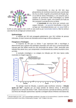 Estruturalmente, os vírus de HIV têm duas
glicoproteínas de membrana essenciais para a penetração
do vírus na célula. A gp120, uma proteína de fixação, ligase ao CD4 de células linfocitárias, e, em conjunto com o
receptor de quimiocinas CCR5 (macrófagos) ou CXCR4
(linfócitos T), permite à gp41, uma proteína de fusão do
HIV, precipitar a entrada do vírus na célula.
A transmissão do vírus dá-se por contacto com
sangue infectado – via parental (transfusões e troca de
seringas por toxicodependentes), por via sexual (0,05 a
0,15% no coito vaginal e 0,8 a 3,2% no sexo anal) ou por transmissão materna. Não há nenhum
caso descrito de contágio por contacto social.
Epidemiologia
A infecção por HIV está propagada globalmente, com 33,2 milhões de pessoas
infectadas. O maior número de infectados está de longe na África subsaariana.
Patogénese e Patologias
O tropismo do HIV para as células T que expressam CD4 e macrófagos é
determinante para a génese das patologias associadas com este vírus. A imunossupressão
induzida pelo HIV (SIDA) resulta de uma diminuição de células T CD4 +, destruídas pela
infecção lítica deste vírus, que compromete o funcionamento do sistema imunitário como
um todo.
A evolução cronológica e os estágios da infecção por HIV mais típicos estão
mostrados na imagem seguinte:

No período inicial da infecção, o paciente pode manifestar sintomas – infecção
aguda por HIV70, seguidos por um longo período de latência clínica. A diminuição
progressiva no número de células T CD4+, mesmo durante o período de latência, permite a
ocorrência de infecções oportunistas. Quando a contagem desses linfócitos está abaixo das
70

Infecção Aguda por HIV – com sintomatologia semelhante à da gripe ou da mononucleose, o paciente manifesta
sintomas que podem incluir febre, linfadenopatia, faringite, “rash”, mialgia e mal-estar.

88

 