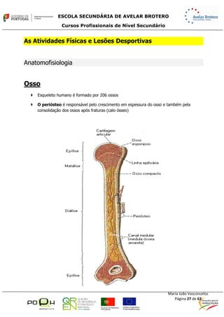 Sebenta.módulo13.e.física.profissional.2014.2015