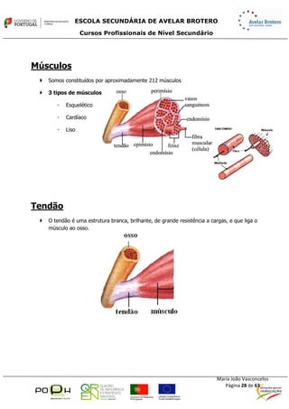 Sebenta.módulo13.e.física.profissional.2014.2015