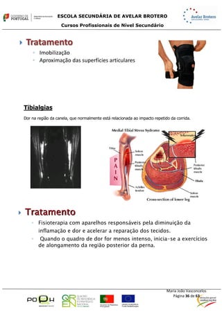 Sebenta.módulo13.e.física.profissional.2014.2015