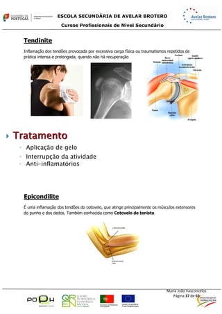 Sebenta.módulo13.e.física.profissional.2014.2015