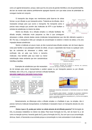 62
como um agente tensioactivo, porque, dado que há uma zona de grande hidrofilia e uma de grande lipofilia,
ele tem de manter este sistema perfeitamente agregado fazendo com que estas zonas de polaridade se
consigam manter em conjunto.
O transporte das drogas nas membranas pode fazer-se de várias
formas: ou por difusão ou por transporte activo. Tratando-se da difusão, não é
necessária energia para que ocorra o transporte. No transporte activo é
preciso essa energia que provém das moléculas de ATP e que facilitam a
entrada de substâncias no interior da célula.
Dentro da difusão, há a difusão simples e a difusão facilitada. Na
difusão simples, moléculas muito pequenas ou iões é que conseguem
atravessar a célula, através destes canais (moléculas transportadoras) que não têm diâmetro superior a
8Å. Por isso, o transporte é feito por variação da concentração no exterior e interior da célula, e há uma
migração dessas substâncias.
Sendo a molécula um pouco maior, já não é possível essa difusão simples, tem de haver alguma
coisa para facilitar a sua passagem através da célula. Já que a capacidade das trocas ou qualquer outro
tipo de nutrientes de atravessar a célula, está
confinada não só pela sua forma e tamanho
molecular, mas também pela sua maior ou menor
solubilização neste ambiente que tem características
hidrófilas e lipófilas.
Exemplos de substâncias que não necessitam
da tal energia para serem transportadas e podem passar ou por transporte passivo ou por difusão
facilitada, são o CO2 e O2, a água por osmose e difusão facilitada.
D
DI
IF
FU
US
SÃ
ÃO
O S
SI
IM
MP
PL
LE
ES
S E
E D
DI
IF
FU
US
SÃ
ÃO
O F
FA
AC
CI
IL
LI
IT
TA
AD
DA
A
⇓
Genericamente, as diferenças entre a difusão simples e a facilitada é que, na simples, não é
preciso nenhuma molécula transportadora; na facilitada é necessário haver um transporte através de uma
proteína.
Como é que o O2 acaba por entrar na célula através da tal difusão passiva? Há formação de
CO2 no processo metabólico no interior da célula. Para haver formação do CO2, tem de haver O2 e, tal
como na reacção química, havendo gasto de O2 para a formação de CO2, faz com que a sua concentração
diminua. Assim, é favorecida a sua entrada porque a concentração no meio extracelular é muito elevada.
 