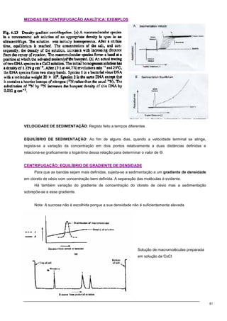 81
M
ME
ED
DI
ID
DA
AS
S E
EM
M C
CE
EN
NT
TR
RI
IF
FU
UG
GA
AÇ
ÇÃ
ÃO
O A
AN
NA
AL
LÍ
ÍT
TI
IC
CA
A:
: E
EX
XE
EM
MP
PL
LO
OS
S
VELOCIDADE DE SEDIMENTAÇÃO: Registo feito a tempos diferentes
EQUILÍBRIO DE SEDIMENTAÇÃO: Ao fim de alguns dias, quando a velocidade terminal se atinge,
regista-se a variação da concentração em dois pontos relativamente a duas distâncias definidas e
relaciona-se graficamente o logaritmo dessa relação para determinar o valor de Ө.
C
CE
EN
NT
TR
RI
IF
FU
UG
GA
AÇ
ÇÃ
ÃO
O:
: E
EQ
QU
UI
IL
LÍ
ÍB
BR
RI
IO
O D
DE
E G
GR
RA
AD
DI
IE
EN
NT
TE
E D
DE
E D
DE
EN
NS
SI
ID
DA
AD
DE
E
Para que as bandas sejam mais definidas, sujeita-se a sedimentação a um gradiente de densidade
em cloreto de césio com concentração bem definida. A separação das moléculas é evidente.
Há também variação do gradiente de concentração do cloreto de césio mas a sedimentação
sobrepõe-se a esse gradiente.
Nota: A sucrose não é escolhida porque a sua densidade não é suficientemente elevada.
Solução de macromoléculas preparada
em solução de CsCl
 