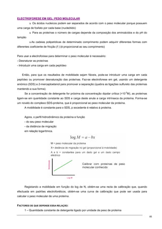 85
E
EL
LE
EC
CT
TR
RO
OF
FO
OR
RE
ES
SE
E E
EM
M G
GE
EL
L:
: P
PE
ES
SO
O M
MO
OL
LE
EC
CU
UL
LA
AR
R
u Os ácidos nucleicos podem ser separados de acordo com o peso molecular porque possuem
uma carga de fosfato por cada base (nucleótido)
u Para as proteínas o número de cargas depende da composição dos aminoácidos e do pH do
tampão
uAs cadeias polipetídicas de determinado comprimento podem adquirir diferentes formas com
diferentes coeficiente de fricção (f ) (é proporcional ao seu comprimento)
Para usar a electroforese para determinar o peso molecular é necessário:
- Desnaturar as proteínas
- Introduzir uma carga em cada peptídeo
Então, para que os resultados de mobilidade sejam fiáveis, pode-se introduzir uma carga em cada
peptídeo ou promover desnaturação das proteínas. Faz-se electroforese em gel, usando um detergente
aniónico (SDS) e 2-mercaptoetanol para promover a separação (quebra as ligações sulfureto das proteínas
mantendo a sua forma).
Se a concentração de detergente for próxima da concentração dipolar crítica (10
-3
M), as proteínas
ligam-se em quantidade constante ao SDS e carga deste anula a carga intrínseca da proteína. Forma-se
um novelo do complexo SDS-proteína, que é proporcional ao peso molecular da proteína.
A mobilidade é constante para o SDS, p excedente é relativo à proteína.
Agora, o perfil hidrodinâmico da proteína e função
- do seu peso molecular
- da distância de migração
em relação logarítmica.
Registando a mobilidade em função do log de N, obtém-se uma recta de calibração que, quando
efectuada em padrões electroforéticos, obtém-se uma curva de calibração que pode ser usada para
calcular o peso molecular de uma proteína.
FACTORES DE QUE DEPENDE ESSA RELAÇÃO:
1 – Quantidade constante de detergente ligado por unidade de peso de proteína
 