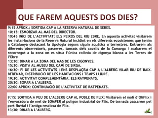 QUE FAREM AQUESTS DOS DIES?
 