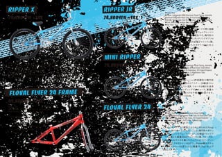 SE BIKES 2019 catalog for web