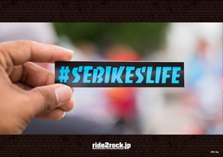 SE BIKES 2019 catalog for web