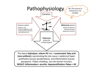 Pathophysiology
Genetics:

Immune system

NB. The amount of
malassezia is not
changed.

Malassezia species

•Helper T cells,
phytohemagglutinin and
concanavalin stimulation,
and antibody titers

Malassezia globosa•
Malassezia furfur•
Malassezia restricta•

Malassezia
grow and
secrete lipases

This lipase hydrolyzes sebum TG into > unsaturated fatty acid
(non-uniform) > penetrating the skin cause > epidermal hyperprolifration (causes parakeratosis) and inflammation (causes
spongiosis) >flakes shedding , loss skin barrier function.
RESULT: Inflammation > pruritis. Hyperprolifration> flakes = SD

 