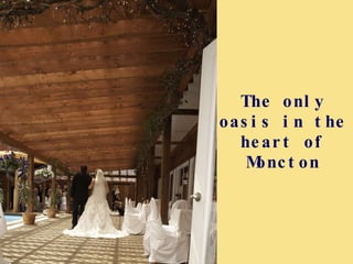 The only oasis in the heart of Moncton 