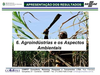 APRESENTAÇÃO DOS RESULTADOS 6. Agroindústrias e os Aspectos Ambientais  