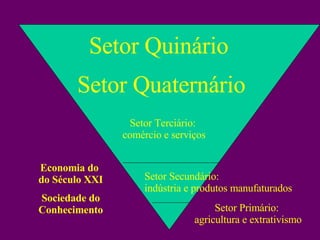 Setor Primário:  agricultura e extrativismo Setor Secundário:  indústria e produtos manufaturados Setor Terciário:  comércio e serviços Economia do  do Século XXI Sociedade do Conhecimento Setor Quaternário Setor Quinário 