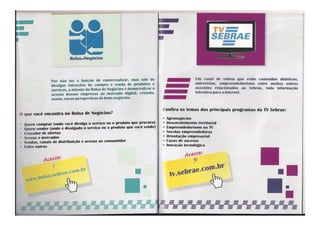 Sebrae online