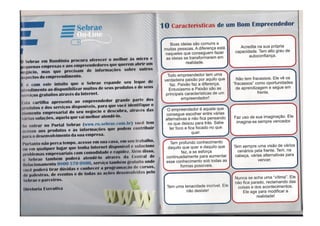 Sebrae online