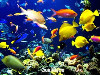 Compartilhamentos através
   do Twitter, Facebook,
Google+ e comentários nos
posts do blog durante o mês
       de Novembro:
          •Posts: 15
      •Facebook: 131
         •Twitter: 61
        •Google+: 30
      •Comentários: 1
 