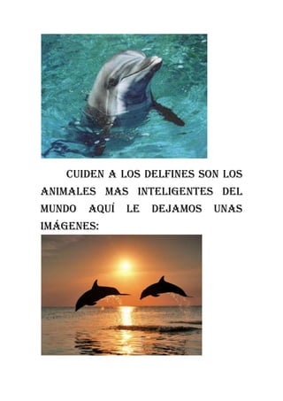 Cuiden a los delfines son los
animales mas inteligentes del
mundo   aquí   le   dejamos   unas
imágenes:
 