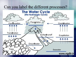 Can you label the different processes? Seawater Evaporation Condensation Condensation Precipitation Transpiration Surface runoff Groundwater Trees 1 2 7 5 4 3 6 