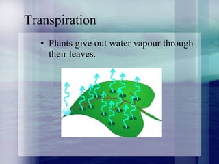 Transpiration Plants give out water vapour through their leaves. 