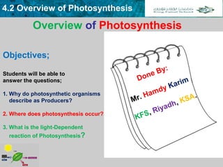 Sec.2 Overview of Photosynthesis by Hamdy Karim. | PPT