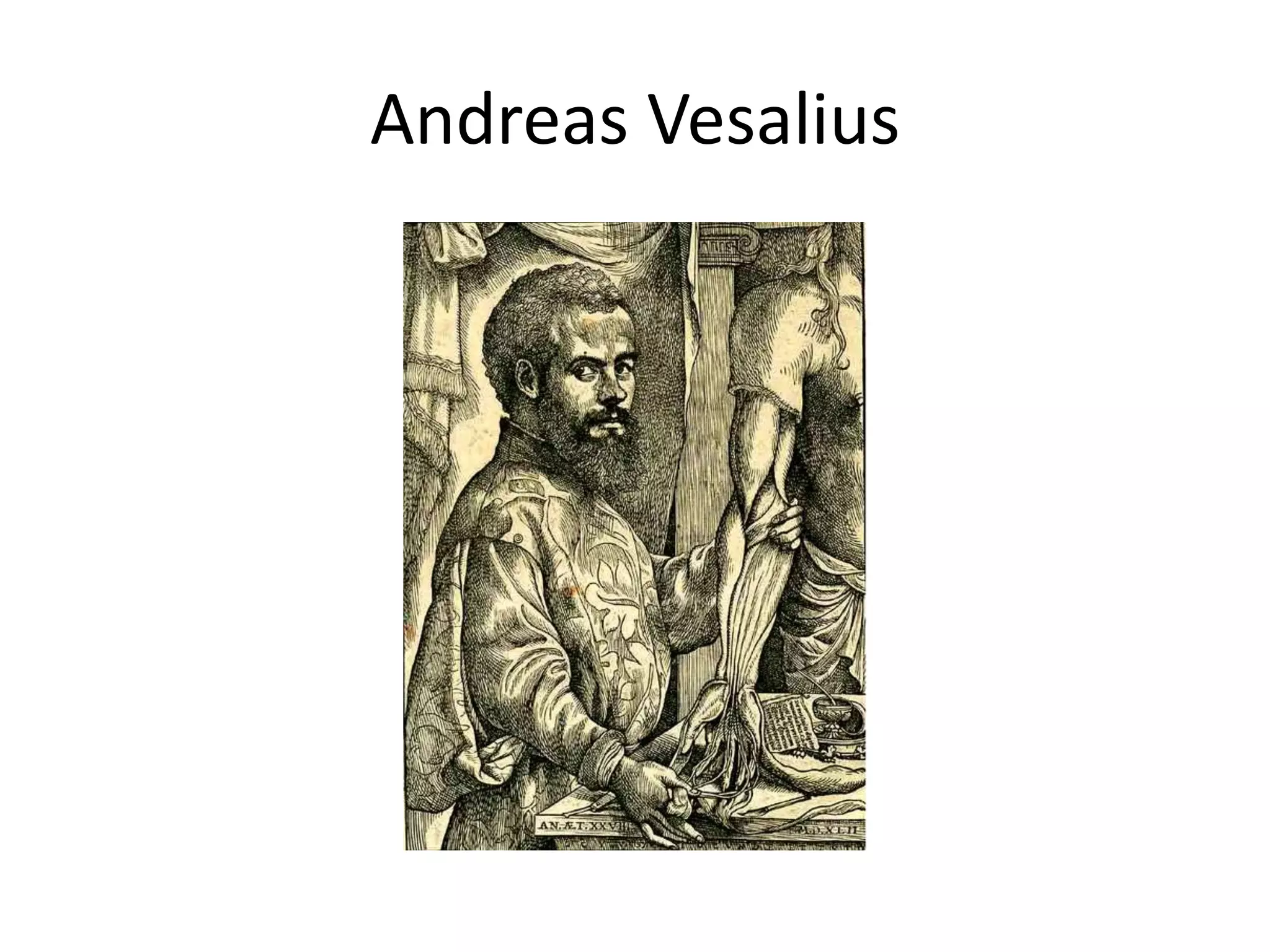 Andreas Vesalius
 
