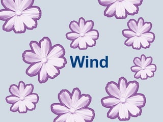 Wind 
