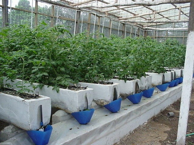Sec 2 Exp High Tech Farming And Plantation Agriculture PPT