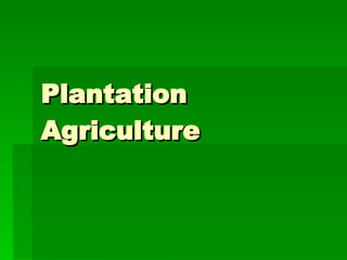 Plantation Agriculture 