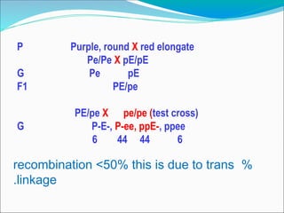 %
recombination <50% this is due to trans
linkage
.
P Purple, round X red elongate
Pe/Pe X pE/pE
G Pe pE
F1 PE/pe
PE/pe X pe/pe (test cross)
G P-E-, P-ee, ppE-, ppee
6 44 44 6
 