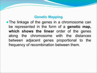 Genetic Mapping
⚫The linkage of the genes in a chromosome can
be represented in the form of a genetic map,
which shows the linear order of the genes
along the chromosome with the distances
between adjacent genes proportional to the
frequency of recombination between them.
 