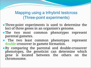 Mapping using a trihybrid testcross
(Three-point experiments)
⚫Three-point experiments is used to determine the
loci of three genes in an organism's genome.
⚫The two most common phenotypes represent
parental gametes.
⚫ The two least common phenotypes represent
double crossover in gamete formation.
⚫By comparing the parental and double-crossover
phenotypes, the geneticist can determine which
gene is located between the others on the
chromosome.
 