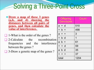 ⚫Draw a map of these 3 genes
(a,b, and d) showing the
distances between all pairs of
genes, and then calculate the
value of interference.
Offspring
Genotypes
Count
a + d 510
+ b + 498
a + + 3
+ b d 1
a b + 61
+ + d 59
a b d 35
+ + + 37
total 1204
❑ 1-What is the order of the genes ?
❑ 2-Calculate the recombination
frequencies and the interference
between the genes ?
❑ 3-Draw a genetic map of the genes ?
 