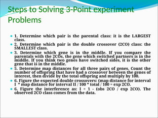 Steps to Solving 3-Point experiment
Problems
⚫ 1. Determine which pair is the parental class: it is the LARGEST
class.
⚫ 2. Determine which pair is the double crossover (2CO) class: the
SMALLEST class.
⚫ 3. Determine which gene is in the middle. If you compare the
parentals with the 2COs, the gene which switched partners is in the
middle. If you think two genes have switched sides, it is the other
gene that is in the middle.
⚫ 5. Determine map distances for all three pairs of genes. Count the
number of offspring that have had a crossover between the genes of
interest, then divide by the total offspring and multiply by 100.
⚫ 6. Figure the expected double crossovers: (map distance for interval
I * map distance for interval II / 100 * total / 100 = exp 2CO.
⚫ 6. Figure the interference as: I = 1 - (obs 2CO / exp 2CO). The
observed 2CO class comes from the data.
 