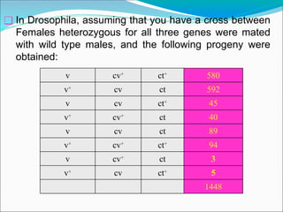 580
ct+
cv+
v
592
ct
cv
v+
45
ct+
cv
v
40
ct
cv+
v+
89
ct
cv
v
94
ct+
cv+
v+
3
ct
cv+
v
5
ct+
cv
v+
1448
❑ In Drosophila, assuming that you have a cross between
Females heterozygous for all three genes were mated
with wild type males, and the following progeny were
obtained:
 