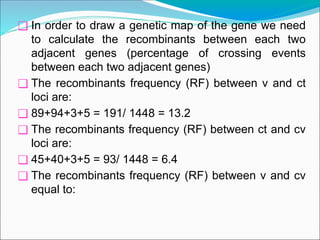 ❑ In order to draw a genetic map of the gene we need
to calculate the recombinants between each two
adjacent genes (percentage of crossing events
between each two adjacent genes)
❑ The recombinants frequency (RF) between v and ct
loci are:
❑ 89+94+3+5 = 191/ 1448 = 13.2
❑ The recombinants frequency (RF) between ct and cv
loci are:
❑ 45+40+3+5 = 93/ 1448 = 6.4
❑ The recombinants frequency (RF) between v and cv
equal to:
 