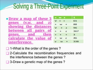 ⚫Draw a map of these 3
genes (v,w, and z)
showing the distances
between all pairs of
genes, and then
calculate the value of
interference.
❑ 1-What is the order of the genes ?
❑ 2-Calculate the recombination frequencies and
the interference between the genes ?
❑ 3-Draw a genetic map of the genes ?
 