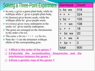 ⚫ In corn, c gives a green plant body, while its
wildtype allele c+
gives a purple plant body.
⚫ bz (bronze) gives brown seeds, while the
wildtype allele bz+
gives purple seeds.
⚫ wx (waxy) gives waxy endosperm in the
seeds; wx+
gives starchy endosperm.
⚫ The genes are arranged on the chromosome
in the order c-bz-wx.
⚫ The cross: c bz wx / + + + x c bz wx.
⚫ Note the +’s are the dominant wildtype
alleles of the corresponding gene.
Genotype Count
c bz wx 318
+ + + 324
c bz + 105
+ + wx 108
c + + 18
+ bz wx 20
c + wx 4
+ bz + 3
total 900
❑ 1-What is the order of the genes ?
❑ 2-Calculate the recombination frequencies and the
interference between the genes ?
❑ 3-Draw a genetic map of the genes ?
 