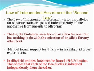 Law of Independent Assortment the "Second
Law”
• The Law of Independent Assortment states that alleles
for separate traits are passed independently of one
another i.e from parents to offspring.
• That is, the biological selection of an allele for one trait
has nothing to do with the selection of an allele for any
other trait.
• Mendel found support for this law in his dihybrid cross
experiments .
• In dihybrid crosses, however, he found a 9:3:3:1 ratios.
This shows that each of the two alleles is inherited
independently from the other.
 