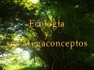 Sec. 3.1 ecología y sus megaconceptos