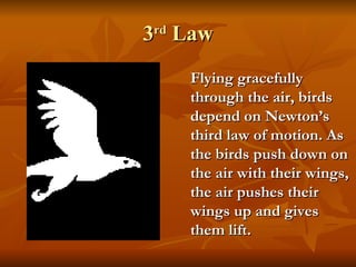 3 rd  Law Flying gracefully through the air, birds depend on Newton’s third law of motion. As the birds push down on the air with their wings, the air pushes their wings up and gives them lift. 