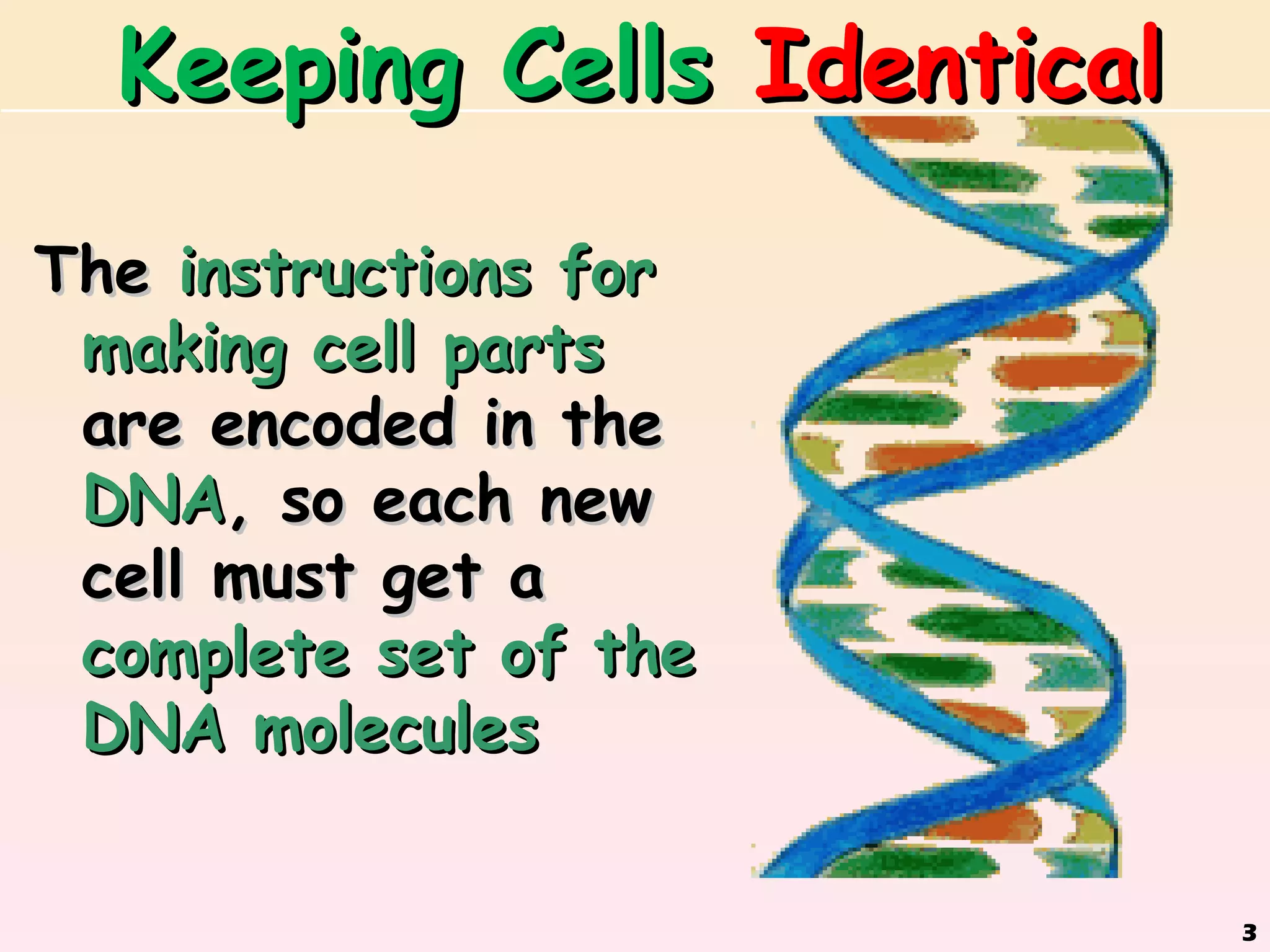 Keeping Cells Identical

The instructions for
 making cell parts
 are encoded in the
 DNA, so each new
 cell must get a
 complete set of the
 DNA molecules


                            3
 