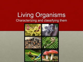 Living Organisms
Characterizing and classifying them
 