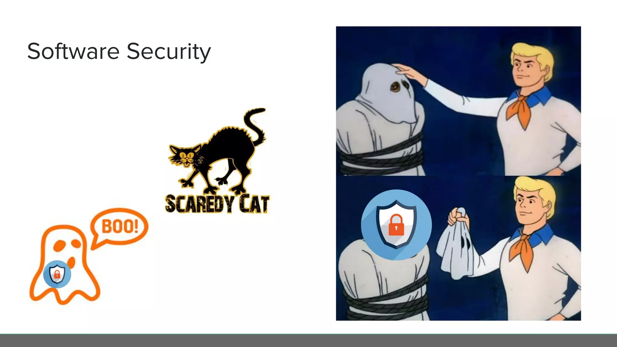 Software Security
 