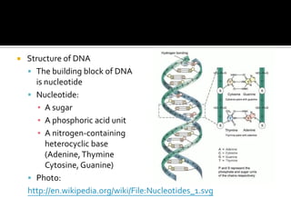 Importance of Hydrogen Bonding in Biochemistry Hydrogen bonding in ice and waterIntermolecular hydrogen bonds exist in both water and ice In water, molecules are in constant motion. Intermolecular hydrogen bondsare formed and broken continuously. The arrangement ofmolecules is random