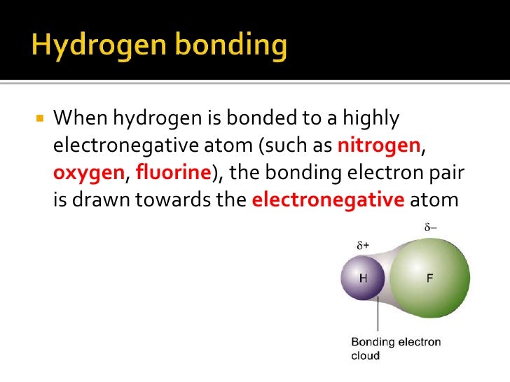 Hydrogen Bonding Powerpoint hydrogen-bonding-powerpoint
