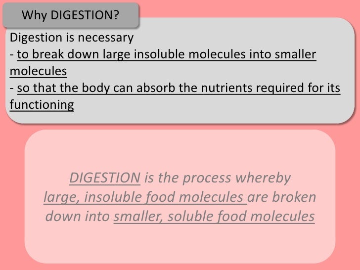 Why is digestion necessary?