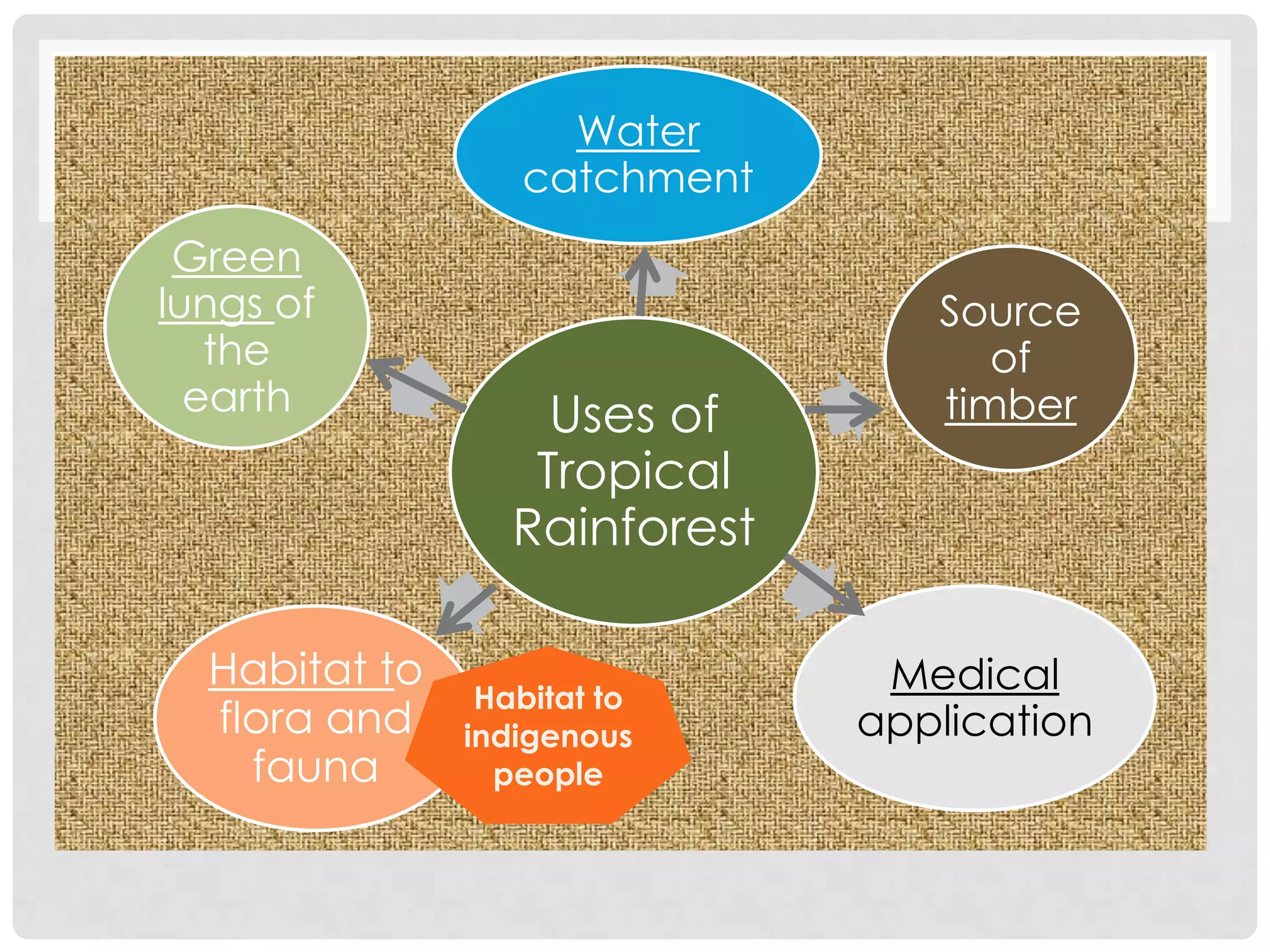 Water
catchment
Green
lungs of
the
earth

Habitat to
flora and
fauna

Uses of
Tropical
Rainforest
Habitat to
indigenous
people

Source
of
timber

Medical
application

 