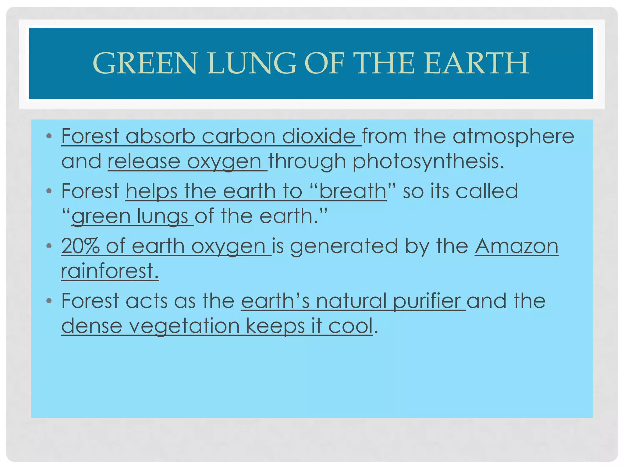 GREEN LUNG OF THE EARTH
• Forest absorb carbon dioxide from the atmosphere
and release oxygen through photosynthesis.
• Forest helps the earth to “breath” so its called
“green lungs of the earth.”
• 20% of earth oxygen is generated by the Amazon
rainforest.
• Forest acts as the earth’s natural purifier and the
dense vegetation keeps it cool.

 