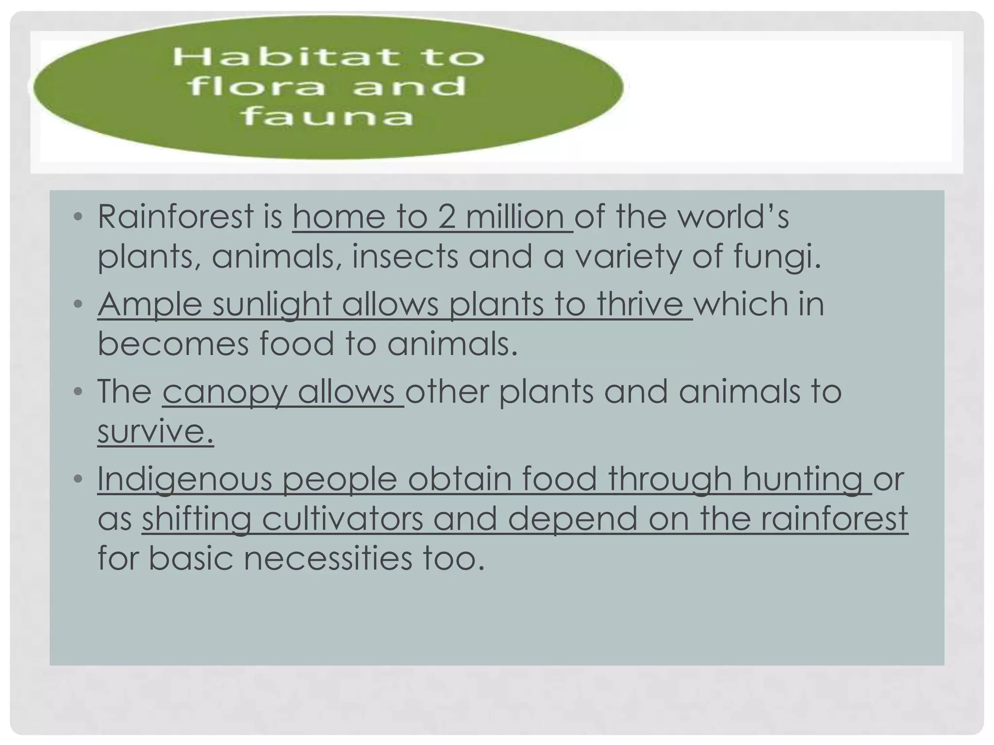 • Rainforest is home to 2 million of the world’s
plants, animals, insects and a variety of fungi.
• Ample sunlight allows plants to thrive which in
becomes food to animals.
• The canopy allows other plants and animals to
survive.
• Indigenous people obtain food through hunting or
as shifting cultivators and depend on the rainforest
for basic necessities too.

 