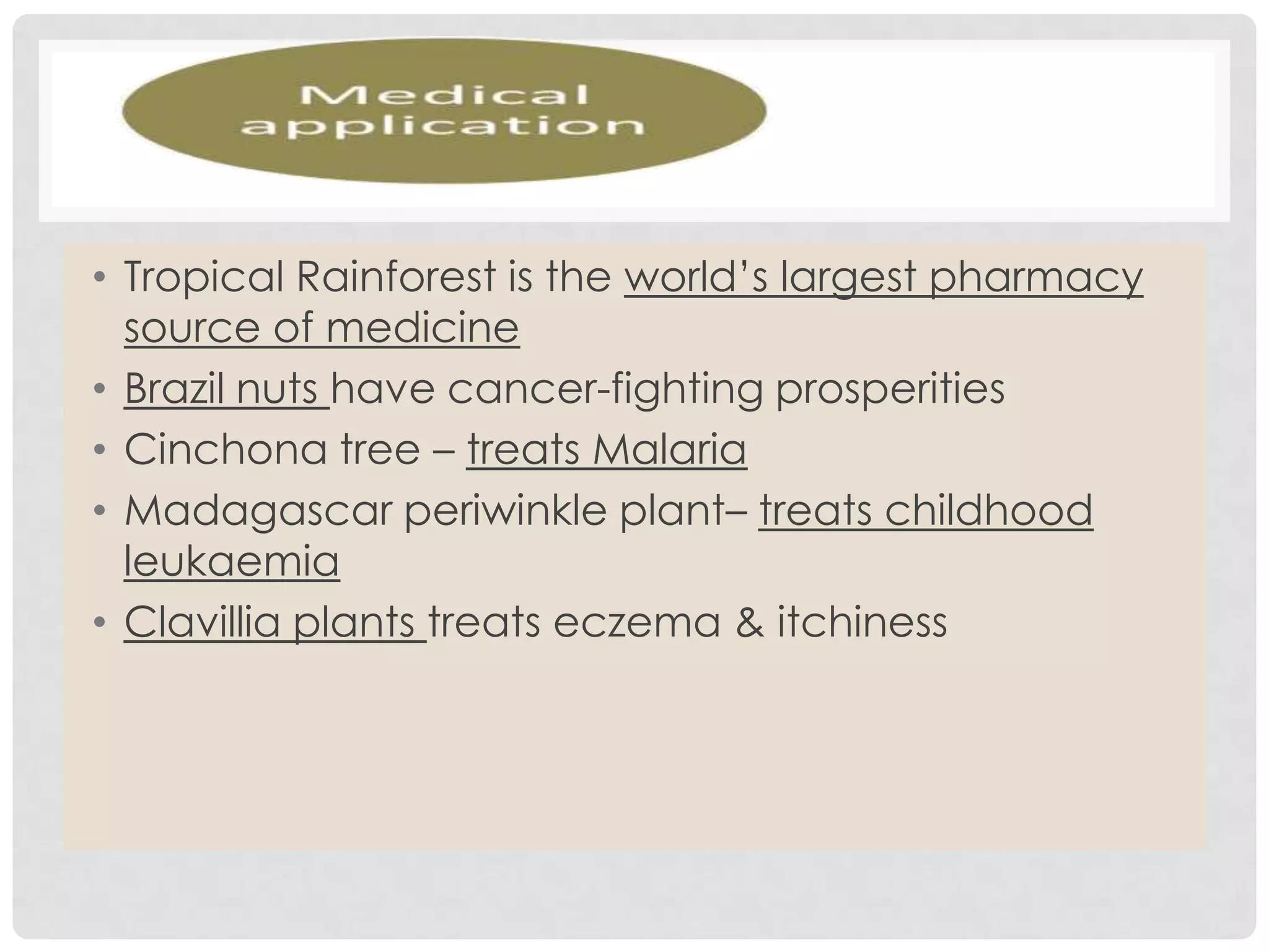 • Tropical Rainforest is the world’s largest pharmacy
source of medicine
• Brazil nuts have cancer-fighting prosperities
• Cinchona tree – treats Malaria
• Madagascar periwinkle plant– treats childhood
leukaemia
• Clavillia plants treats eczema & itchiness

 