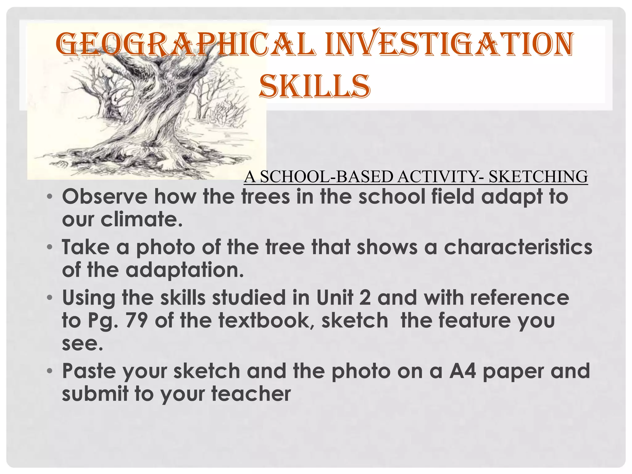 GEOGRAPHICAL INVESTIGATION
SKILLS
A SCHOOL-BASED ACTIVITY- SKETCHING

• Observe how the trees in the school field adapt to
our climate.
• Take a photo of the tree that shows a characteristics
of the adaptation.
• Using the skills studied in Unit 2 and with reference
to Pg. 79 of the textbook, sketch the feature you
see.
• Paste your sketch and the photo on a A4 paper and
submit to your teacher

 